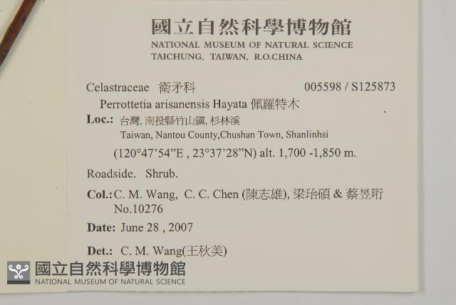 佩羅特木藏品圖，第2張