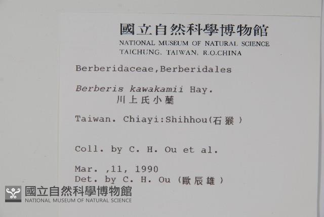 眠月小蘗藏品圖，第2張