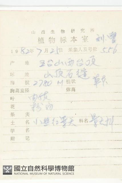 小叢紅景天藏品圖，第2張