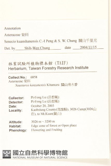 關山千里光藏品圖，第2張