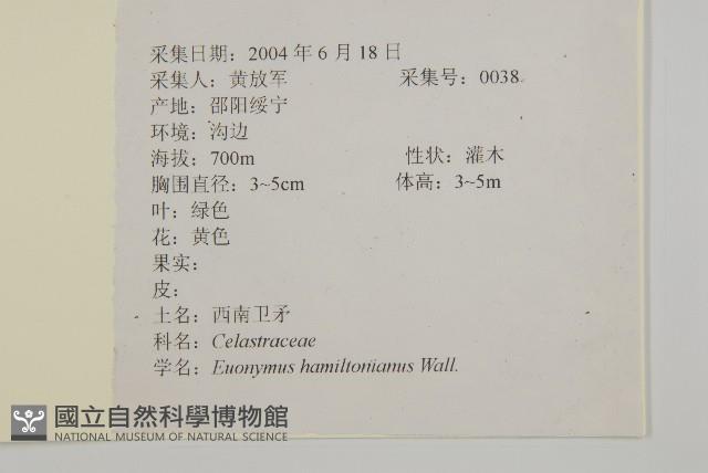 西南衛矛藏品圖，第2張