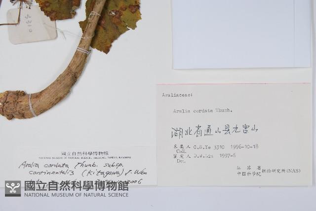 登錄號:S055573藏品圖，第2張