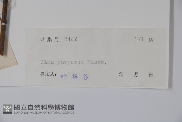 冬青藏品圖，第2張