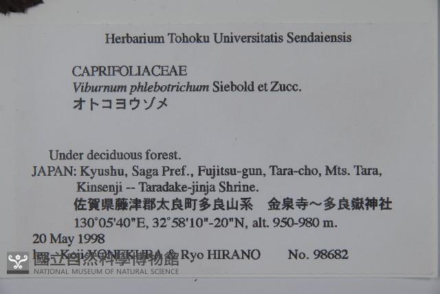 基隆莢迷藏品圖，第2張