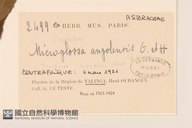 登錄號:S097573藏品圖，第2張