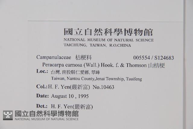 山桔梗藏品圖，第2張