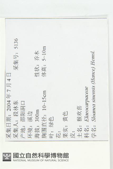 猴歡喜藏品圖，第2張