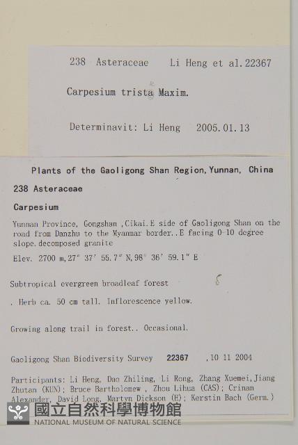 暗花金挖耳藏品圖，第2張