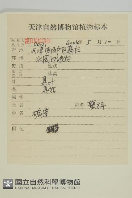 登錄號:S105083藏品圖，第2張