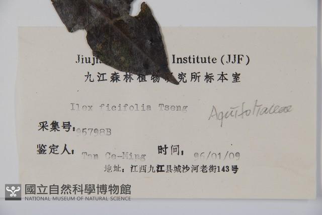 登錄號:S025283藏品圖，第2張