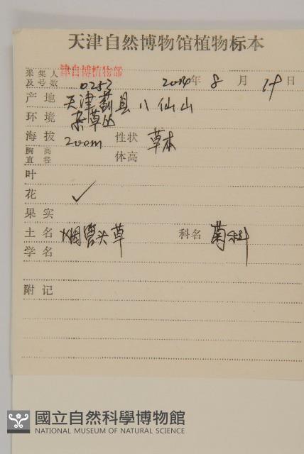 杓兒菜藏品圖，第2張