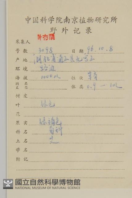 魁蒿藏品圖，第2張