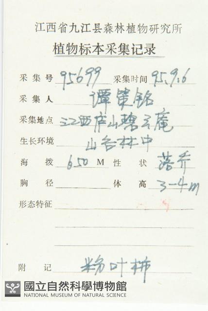 浙江柿藏品圖，第2張