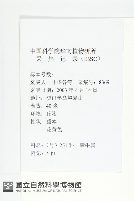 戟葉菜欒藤藏品圖，第2張