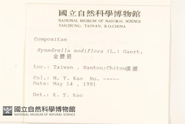 金腰箭藏品圖，第2張