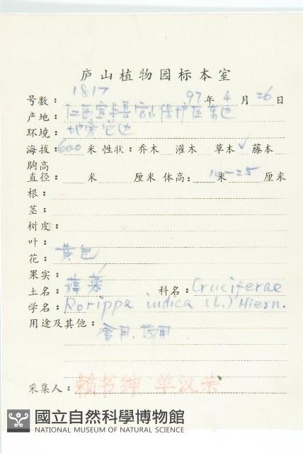 葶藶藏品圖，第2張