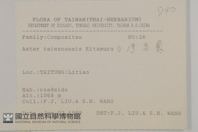 臺灣馬蘭藏品圖，第2張