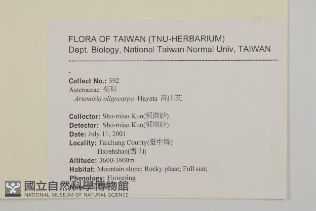 高山艾藏品圖，第2張