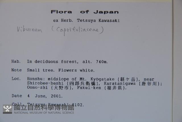 登錄號:S113483藏品圖，第2張