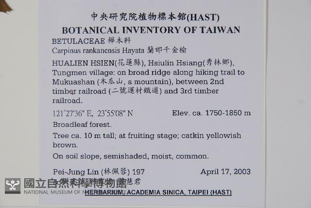 蘭邯千金榆藏品圖，第2張