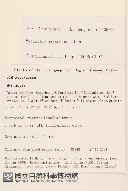 圓舌粘冠草藏品圖，第2張