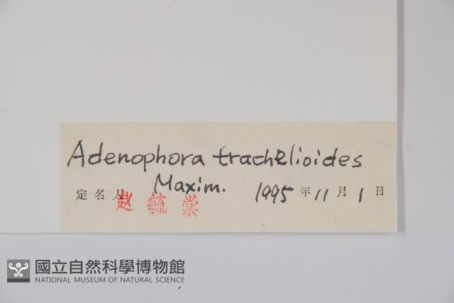 Accession Number:S027383 Collection Image, Figure 2, Total 2 Figures