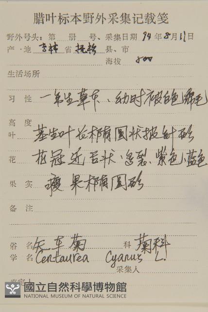 矢車菊藏品圖，第2張