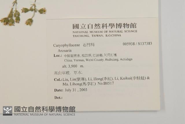 登錄號:S137383藏品圖，第2張