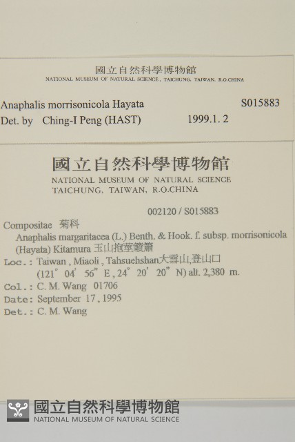 玉山抱莖籟簫藏品圖，第2張