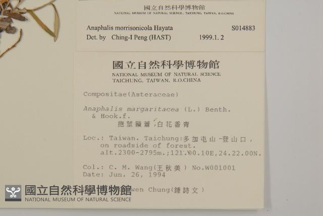 玉山抱莖籟簫藏品圖，第2張