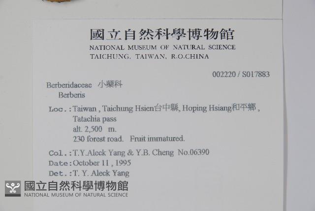 臺灣小蘗藏品圖，第2張