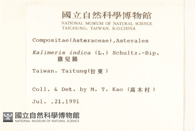 雞兒腸藏品圖，第2張