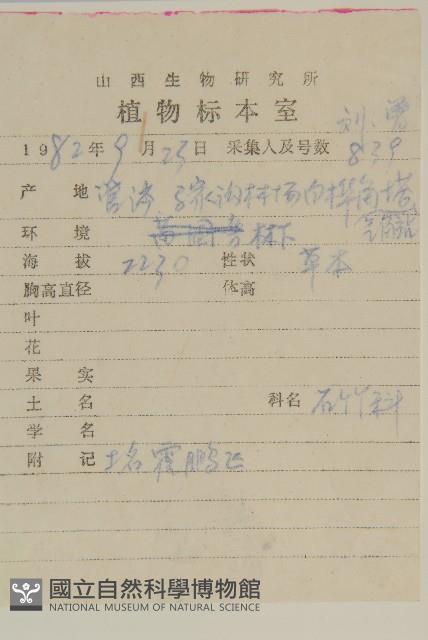 卷耳藏品圖，第2張