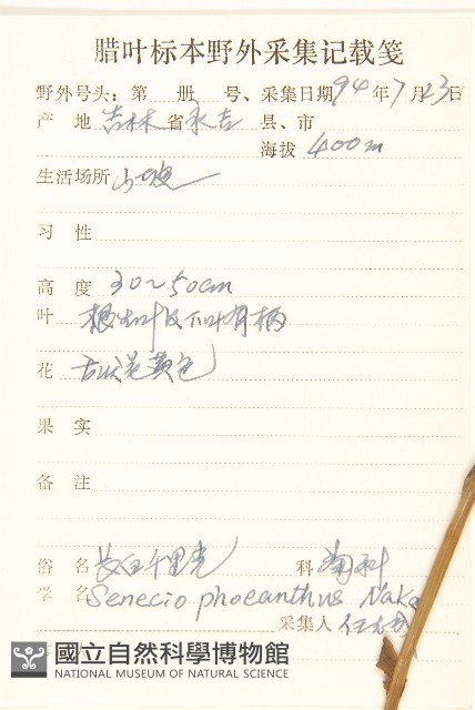 長白千里光藏品圖，第2張