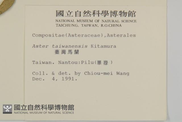 臺灣馬蘭藏品圖，第2張