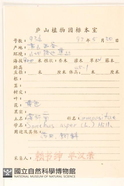 鬼苦苣菜藏品圖，第2張