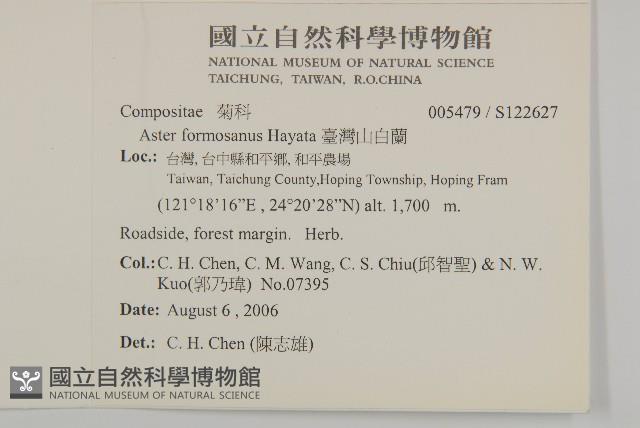 臺灣山白蘭藏品圖，第2張