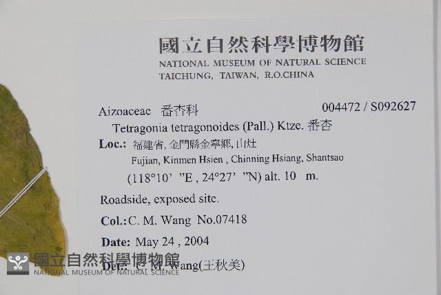 番杏藏品圖，第2張