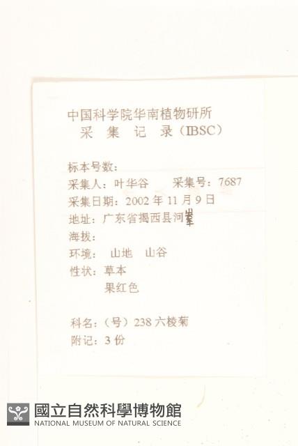 六角草藏品圖，第2張