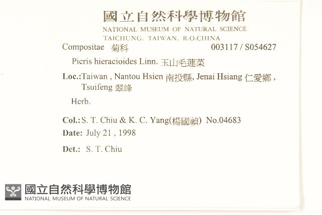 毛蓮菜藏品圖，第2張
