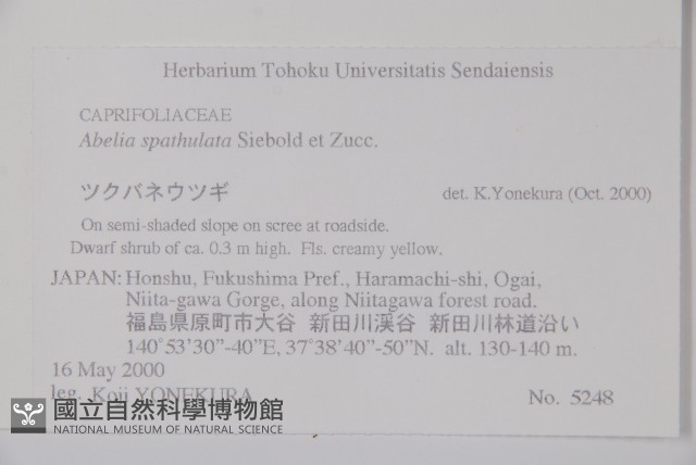 登錄號:S074627藏品圖，第2張