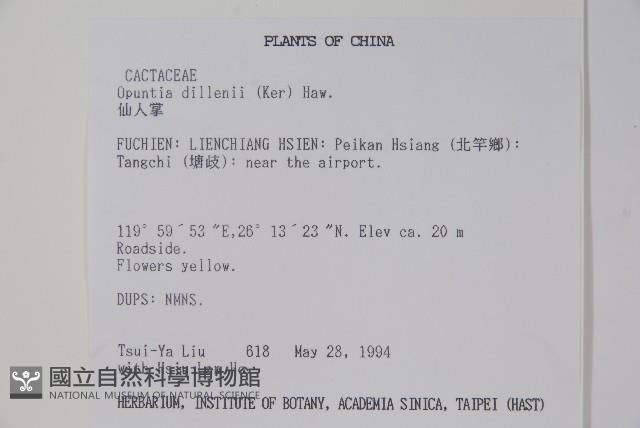 仙人掌藏品圖，第2張