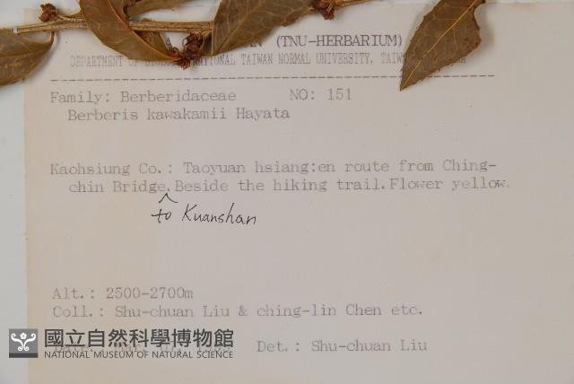 臺灣小蘗藏品圖，第2張