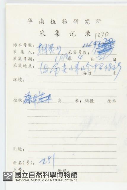 豬菜藤藏品圖，第2張