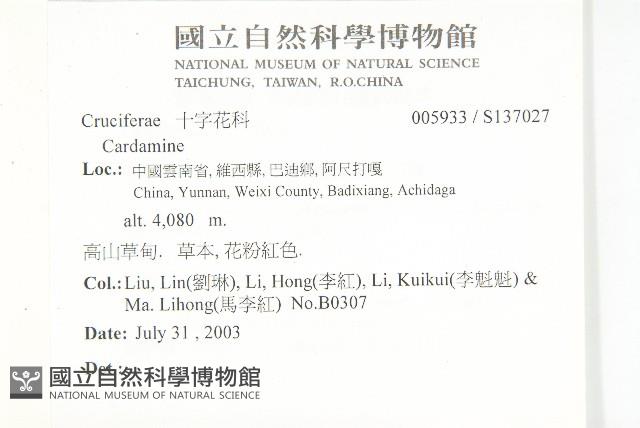 登錄號:S137027藏品圖，第2張