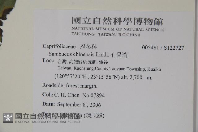 冇骨消藏品圖，第2張