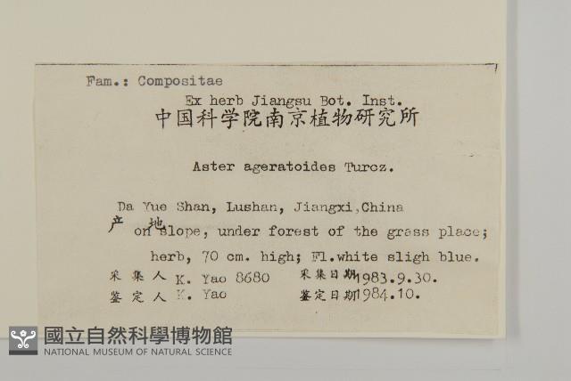 山白蘭藏品圖，第2張