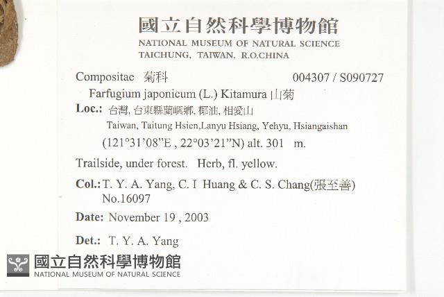 山菊藏品圖，第2張