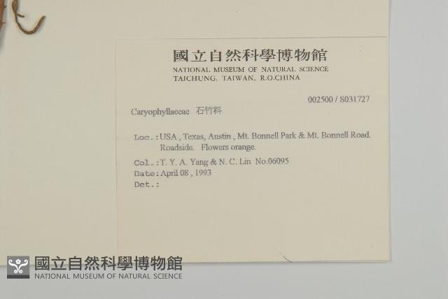 登錄號:S031727藏品圖，第2張