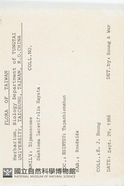 玉山山蘿蔔藏品圖，第2張